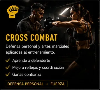 Cross Combat